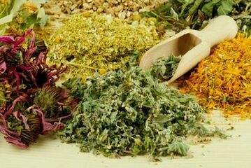 People's remedies for parasites