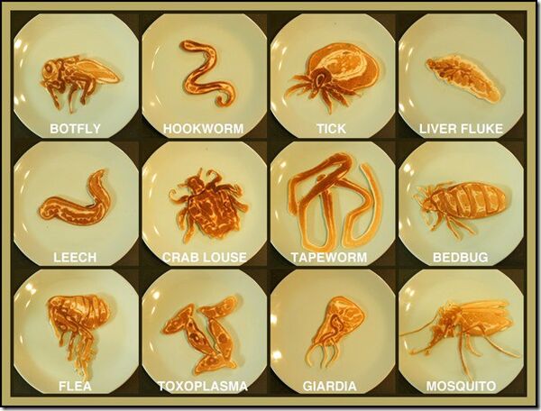 Parasites