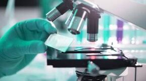 Results of tests on the presence of parasites