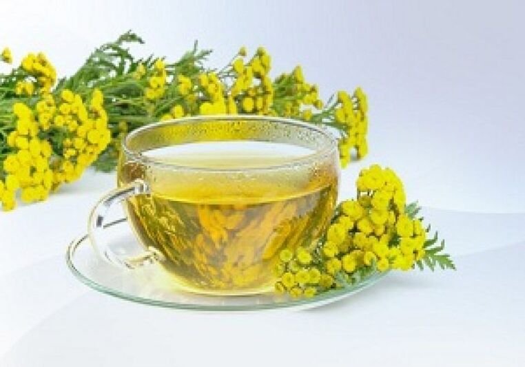Tansy infusion helps get rid of parasites in the body